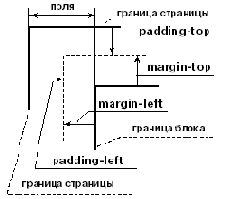 Отступы (margin)